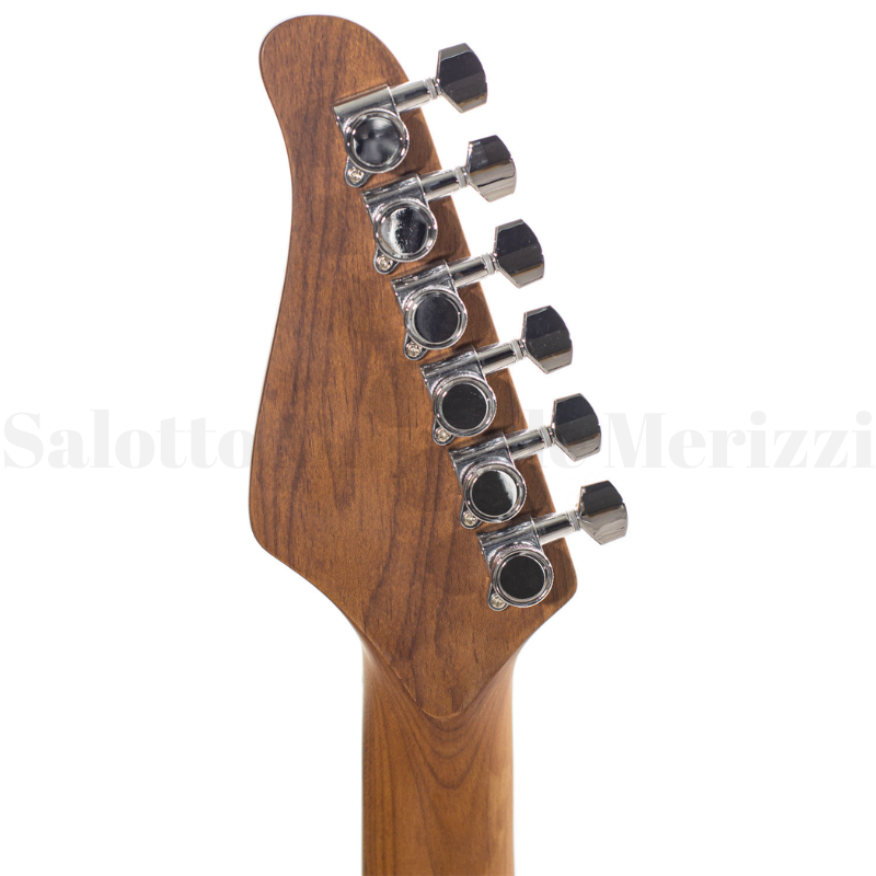 R66 Horizon Williams Tele Style - immagine 6