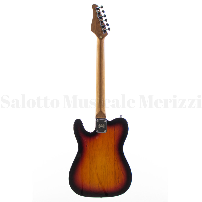 R66 Horizon Williams Tele Style - immagine 2