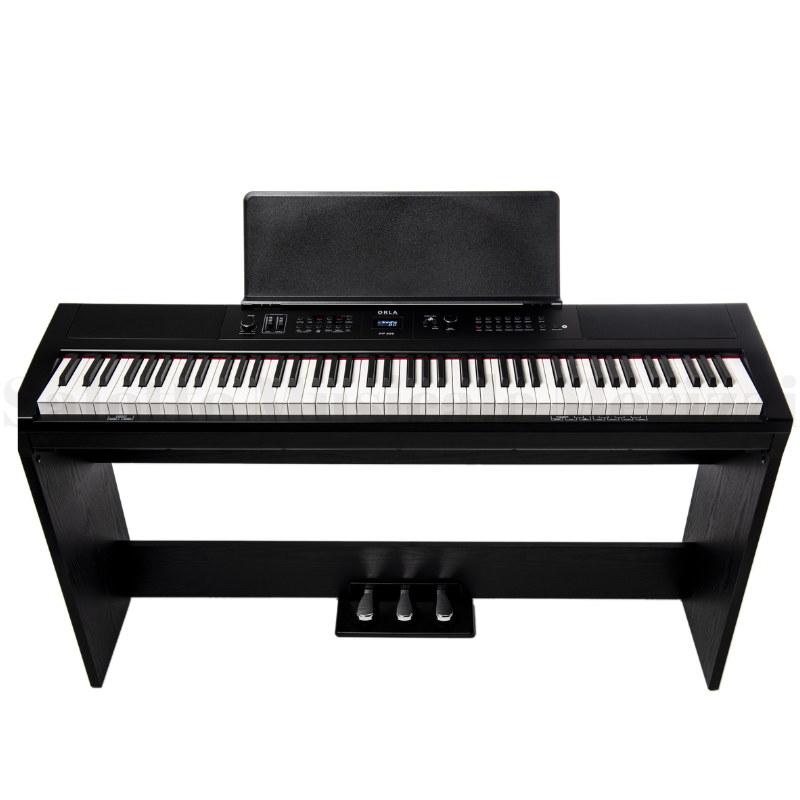 PF300 BK - immagine 2