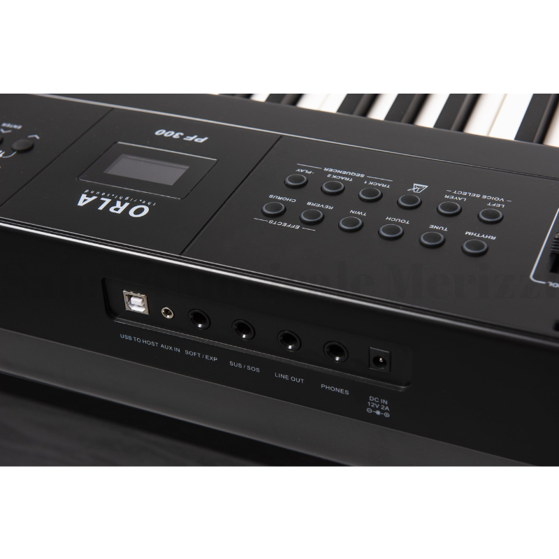 PF300 BK - immagine 5