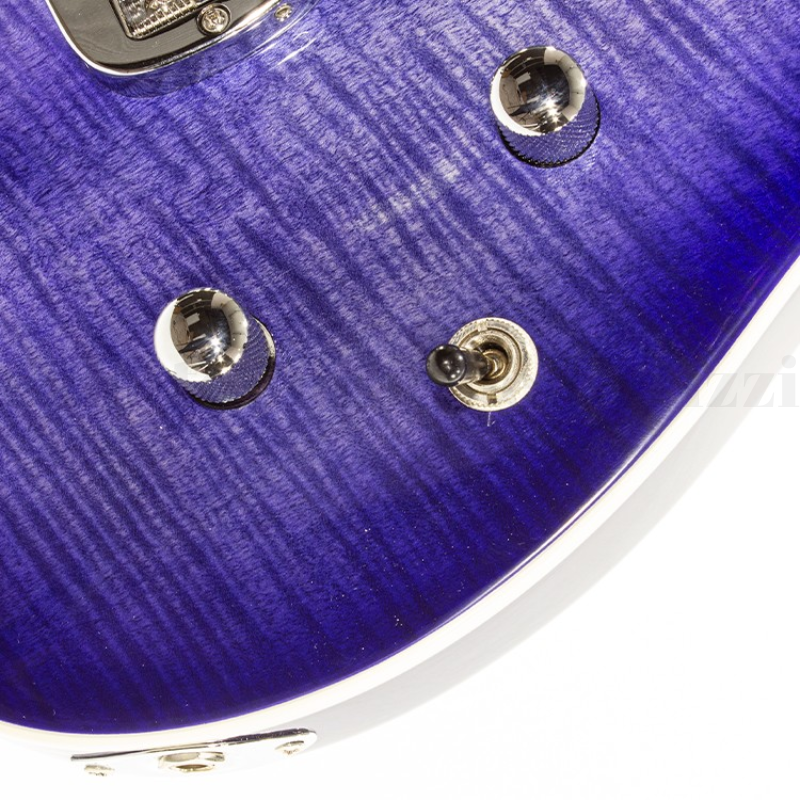 ASAT Deluxe Carved Top Bright Blueburst - immagine 2