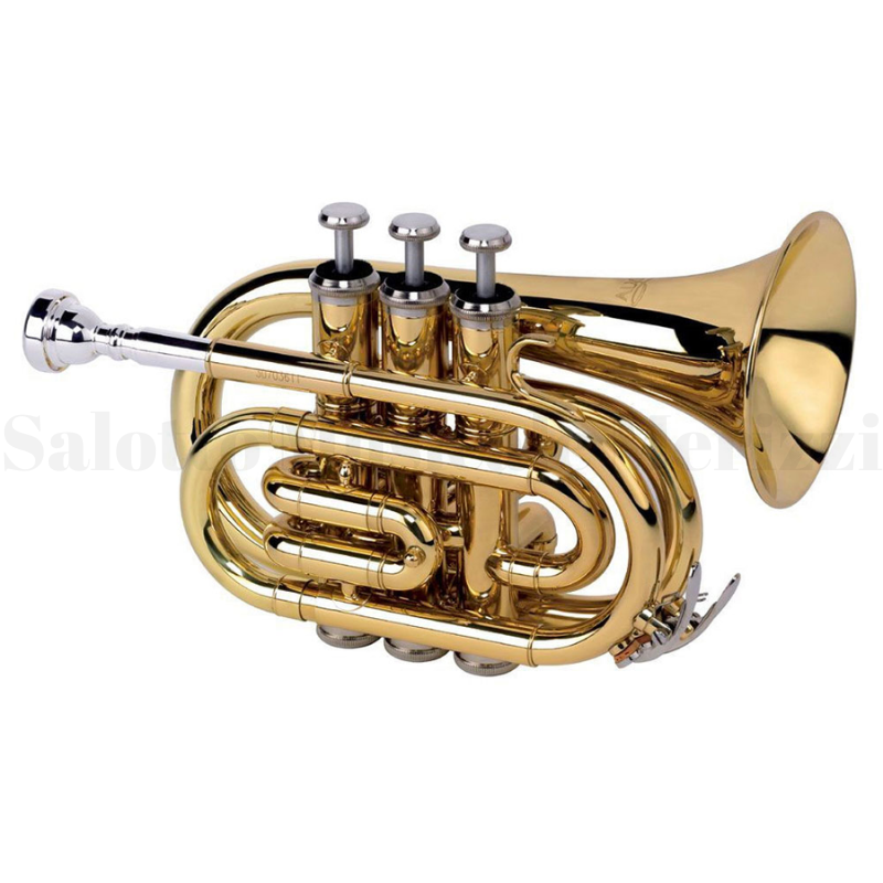 TR-6500 Tromba laccata
