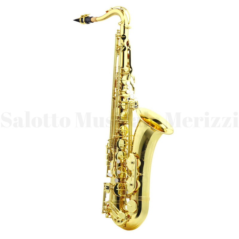 T-818L laccato